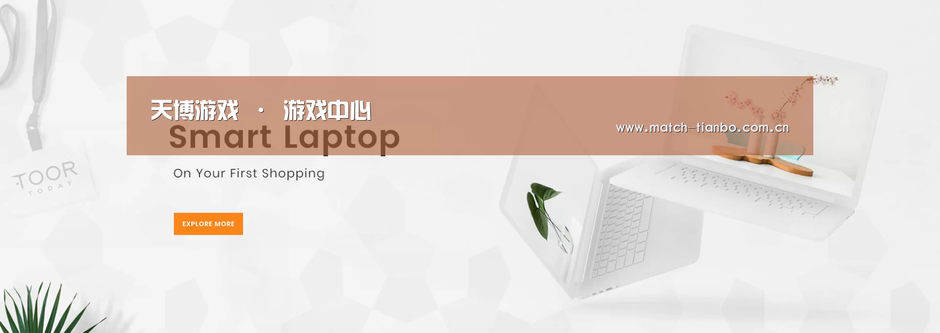 某某网络科技有限公司
