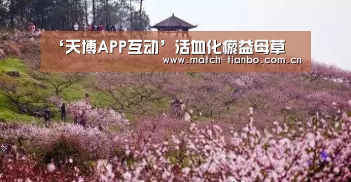 天博体育下载