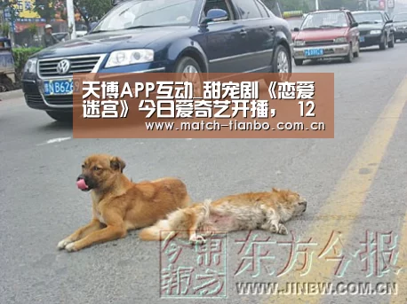 天博体育下载