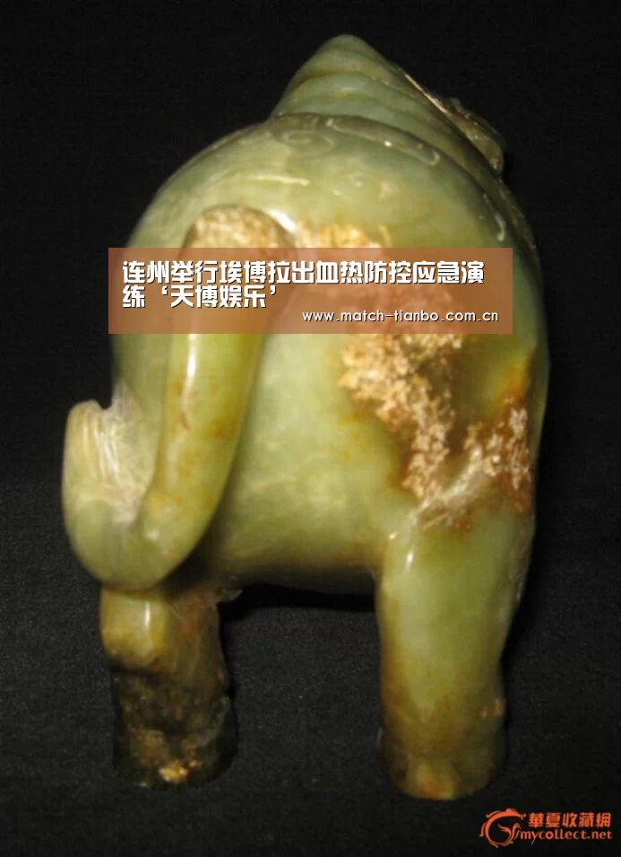 天博APP互动