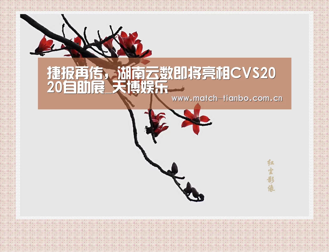 天博体育资讯