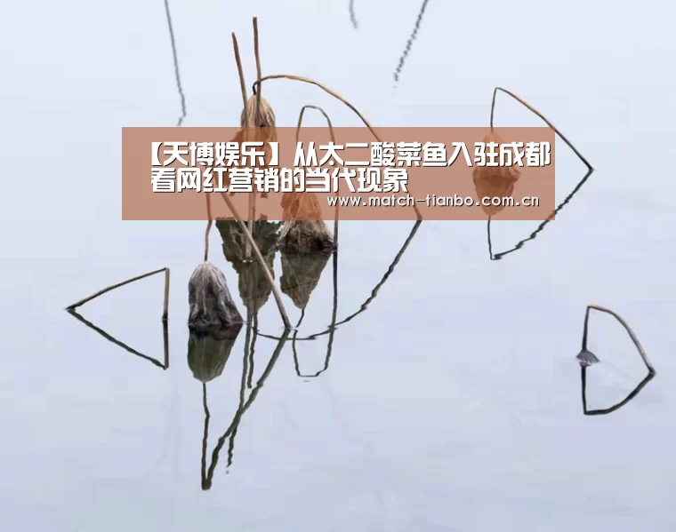 【天博娱乐】从太二酸菜鱼入驻成都 看网红营销的当代现象(图2) 天博体育资讯