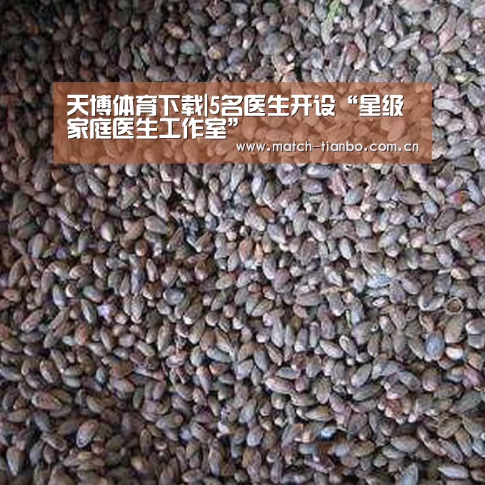 天博APP互动