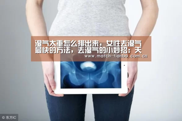 湿气太重怎么排出来,女性去湿气最快的方法,去湿气的小妙招:天博体育资讯(图3) 天博体育资讯